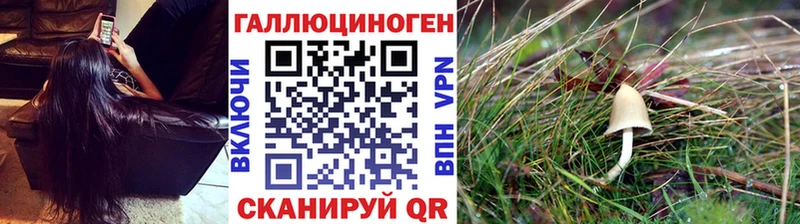 даркнет телеграм  Каргат  Галлюциногенные грибы Psilocybe  МЕГА ссылка 